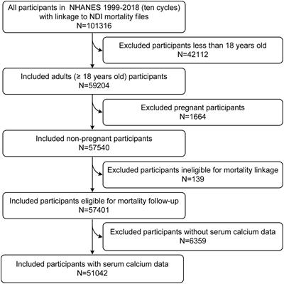 L-shaped association of serum calcium with all-cause and CVD mortality in the US adults: A population-based prospective cohort study